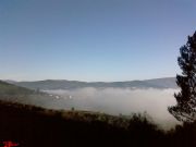 Carballal bajo la niebla. Carballal, Orense